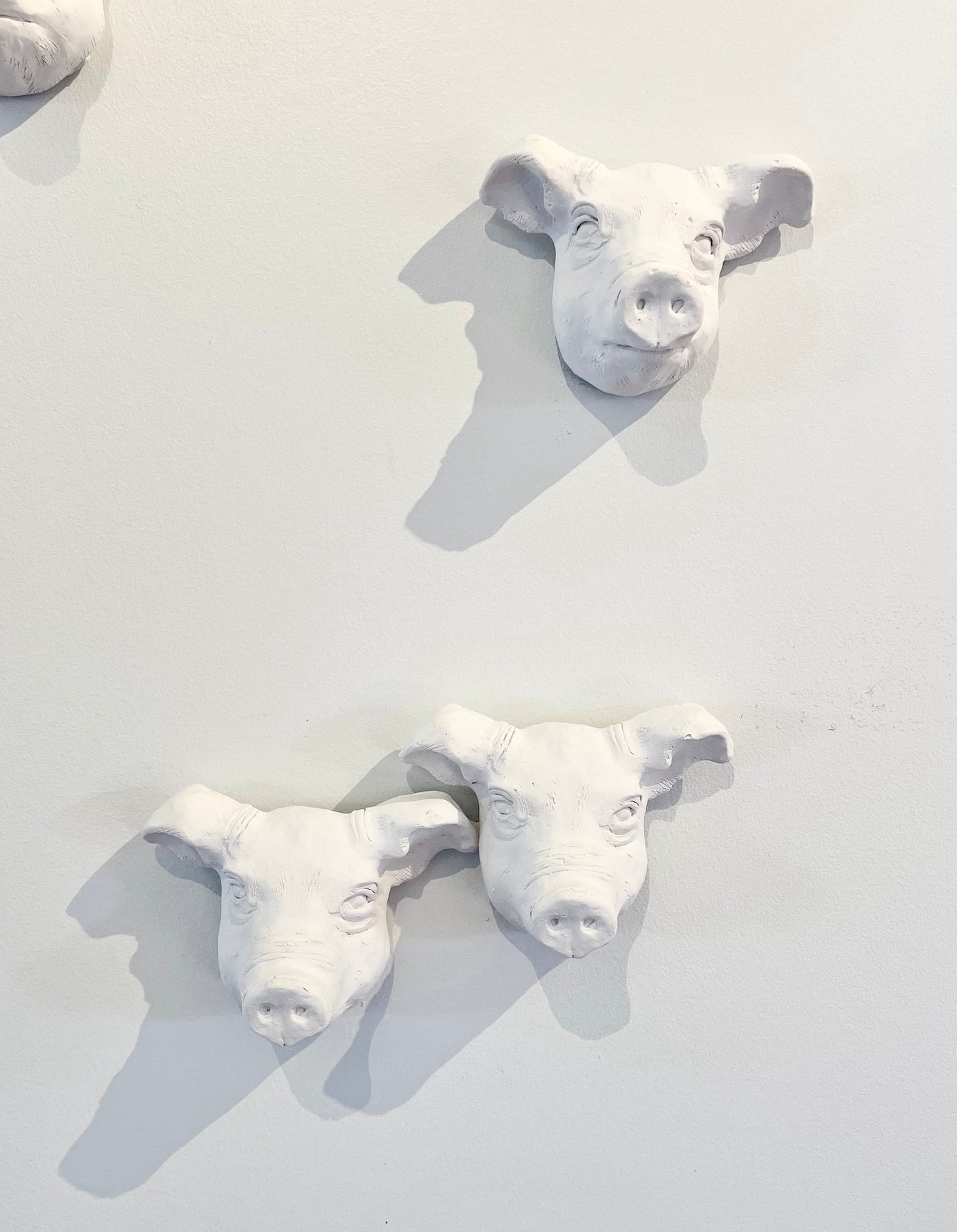 Cochons fantômes par Marilyne Bissonnette