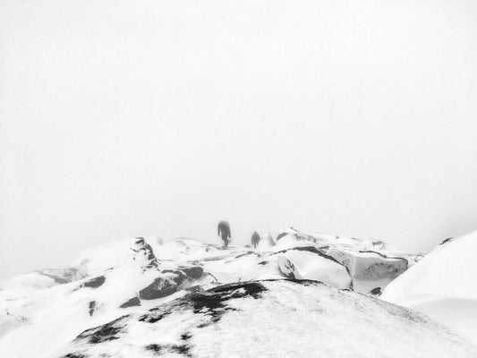 Giovanni Lanni | Mt. Wright, Bare the storm