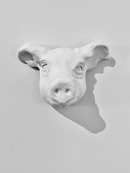 Cochons fantômes par Marilyne Bissonnette