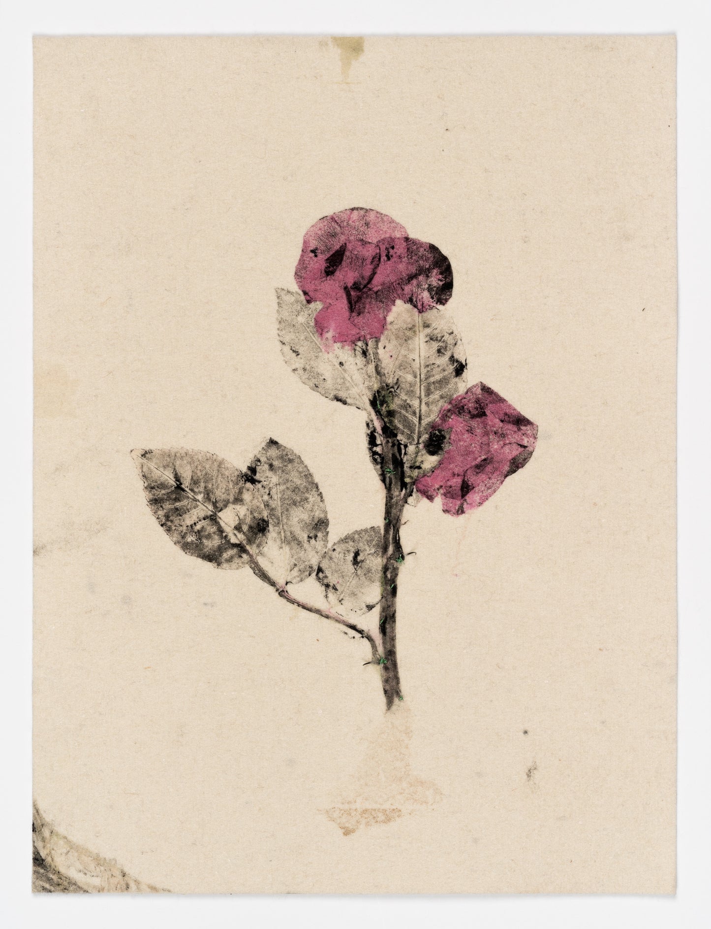 Fleurs de deuil #19 par Yannick De Serre
