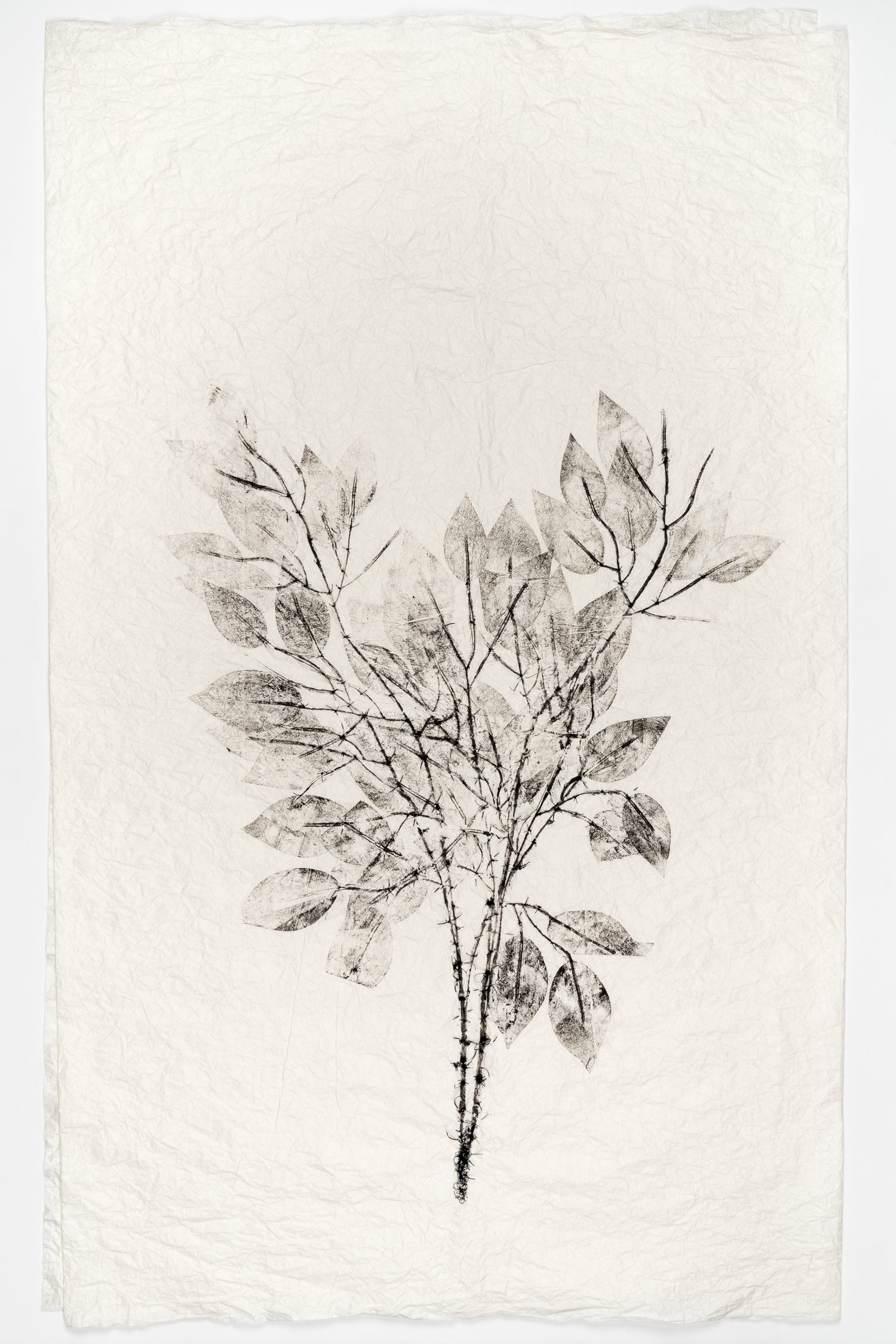 YannickDeSerreOctobre2020_7of28_copie